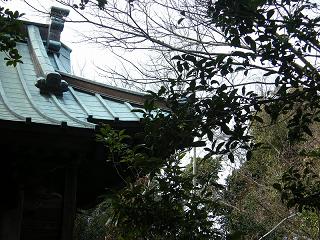 09029s.jpg 800x600 262KB 