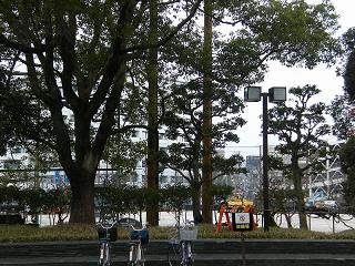 12023s.jpg 800x600 287KB 