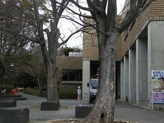 12024s.jpg 800x600 220KB 