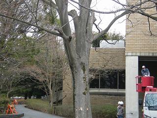 12026s.jpg 800x600 257KB 