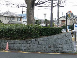 12028s.jpg 800x600 225KB 