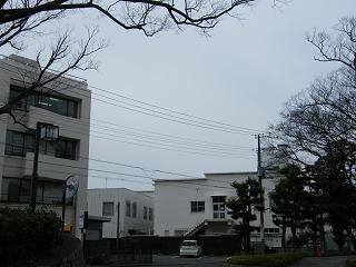 12029s.jpg 800x600 153KB 