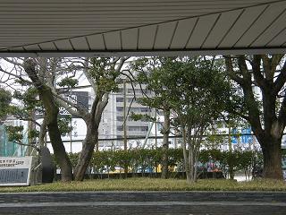 12031s.jpg 800x600 240KB 