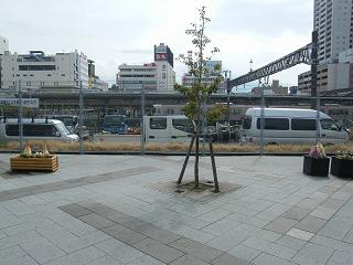 03027s.jpg 800x600 181KB 