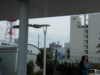 03046s.jpg 800x600 109KB 