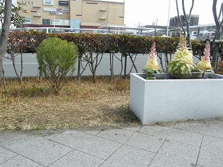 03055s.jpg 800x600 268KB 