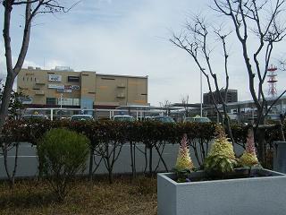 03056s.jpg 800x600 185KB 