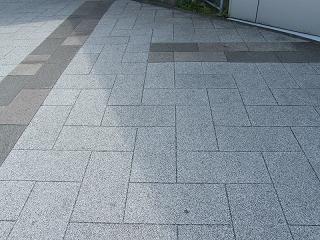 03077s.jpg 800x600 263KB 