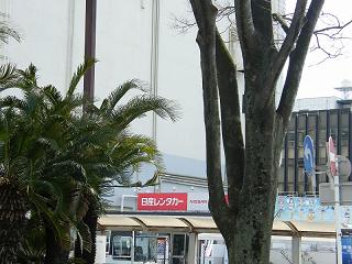 08083s.jpg 800x600 196KB 