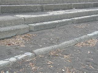 03001s.jpg 800x600 276KB 