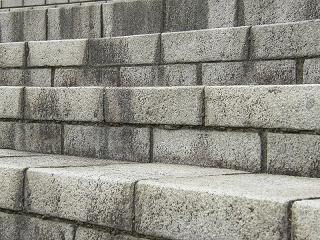 08104s.jpg 800x600 285KB 