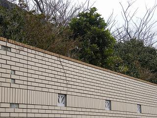 05104s.jpg 800x600 252KB 