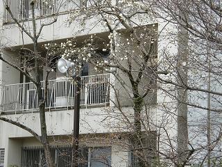 08126s.jpg 800x600 303KB 