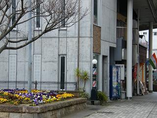 08128s.jpg 800x600 214KB 