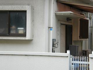 03147s.jpg 800x600 165KB 