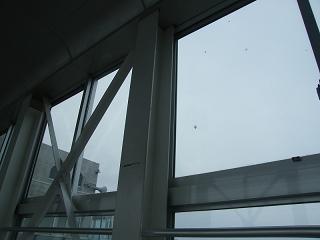 11101s.jpg 800x600 71KB 