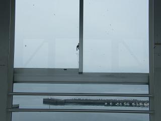 11103s.jpg 800x600 64KB 