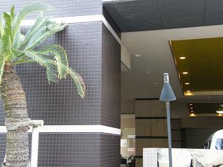 05078s.jpg 800x600 170KB 