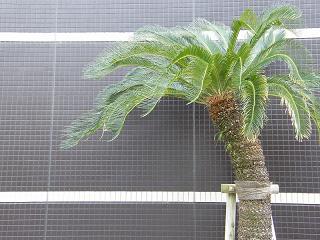 05079s.jpg 800x600 220KB 