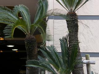 05081s.jpg 800x600 200KB 