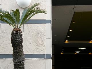 05083s.jpg 800x600 139KB 