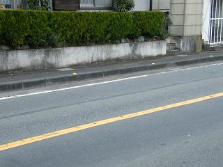 02119s.jpg 800x600 189KB 