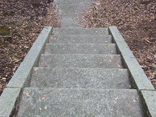 09076s.jpg 800x600 284KB 