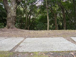 09080s.jpg 800x600 289KB 