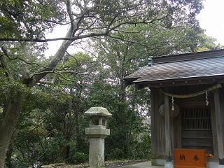 09081s.jpg 800x600 270KB 