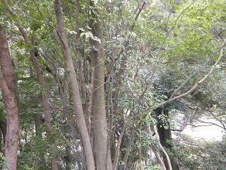 09087s.jpg 800x600 291KB 