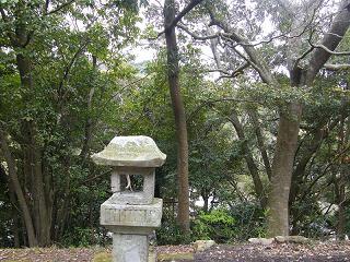 09089s.jpg 800x600 309KB 