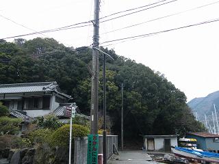 09099s.jpg 800x600 172KB 