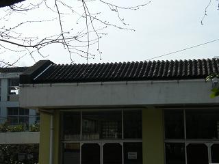 01072s.jpg 800x600 103KB 