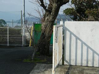 01075s.jpg 800x600 220KB 