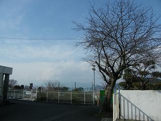 01081s.jpg 800x600 176KB 