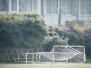 02003s.jpg 800x600 201KB 