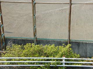 04049s.jpg 800x600 284KB 