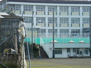 05018s.jpg 800x600 211KB 