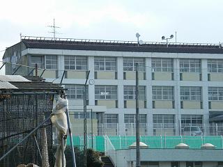 05019s.jpg 800x600 167KB 