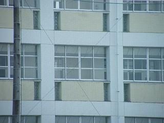 09106s.jpg 800x600 153KB 