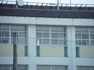 09107s.jpg 800x600 146KB 