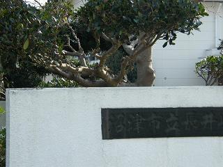 09135s.jpg 800x600 181KB 