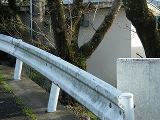 09140s.jpg 800x600 215KB 