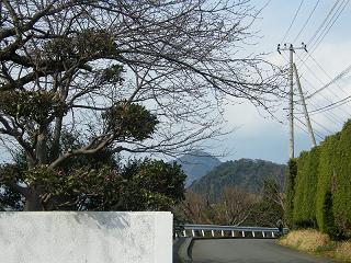 09141s.jpg 800x600 275KB 