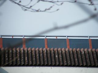 13002s.jpg 800x600 93KB 