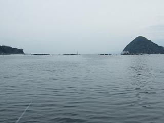 00004s.jpg 800x600 78KB 