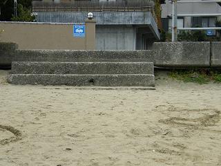 01154s.jpg 800x600 198KB 