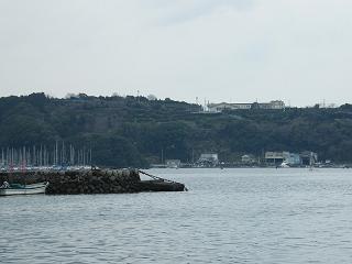 01170s.jpg 800x600 112KB 