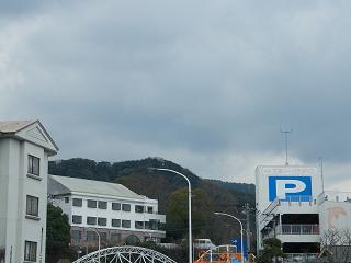 01172s.jpg 800x600 97KB 