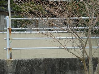 02041s.jpg 800x600 249KB 